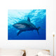Oceanic Whitetip Shark Cat Wall Decal Design 3