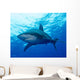 Oceanic Whitetip Shark Cat Wall Decal Design 3