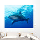 Oceanic Whitetip Shark Cat Wall Decal Design 3