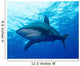 Oceanic Whitetip Shark Cat Wall Decal Design 3