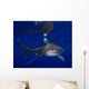 Oceanic Whitetip Shark Cat Wall Decal Design 2