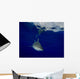 Oceanic Whitetip Shark Cat Wall Decal Design 1