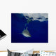 Oceanic Whitetip Shark Cat Wall Decal Design 1