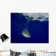 Oceanic Whitetip Shark Cat Wall Decal Design 1