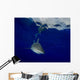 Oceanic Whitetip Shark Cat Wall Decal Design 1