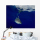 Oceanic Whitetip Shark Cat Wall Decal Design 1