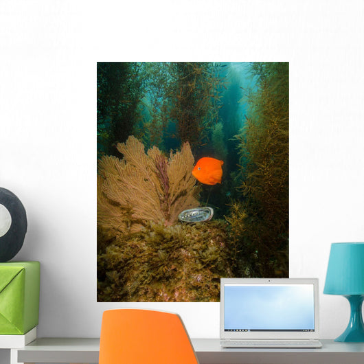 Orange Garibaldi and Green Wall Decal