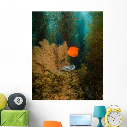 Orange Garibaldi and Green Wall Decal