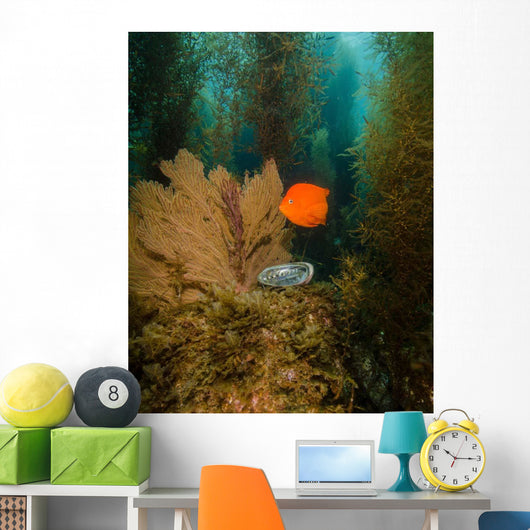 Orange Garibaldi and Green Wall Decal