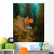 Orange Garibaldi and Green Wall Decal