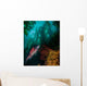Sheephead Semicossyphus Pulcher Wall Decal