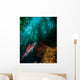 Sheephead Semicossyphus Pulcher Wall Decal