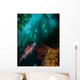 Sheephead Semicossyphus Pulcher Wall Decal