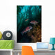 Two Sheephead Kelp Forest Wall Decal