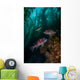 Two Sheephead Kelp Forest Wall Decal