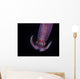 Squid Deepwater Night Dive Wall Decal Design 2