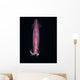 Squid Deepwater Night Dive Wall Decal Design 1
