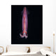 Squid Deepwater Night Dive Wall Decal Design 1