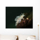 Dall's Dentronotid Nudibranch Quadra Wall Decal