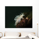 Dall's Dentronotid Nudibranch Quadra Wall Decal