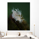 Dall's Dentronotid Nudibranch Quadra Close-up Wall Decal