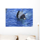Great White Shark Attacking Wall Decal