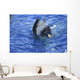 Great White Shark Attacking Wall Decal