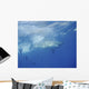 Great White Shark Guadalupe Distant Wall Decal
