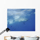 Great White Shark Guadalupe Distant Wall Decal