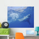 Great White Shark Guadalupe Swimming Wall Decal