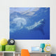 Great White Shark Guadalupe Swimming Wall Decal