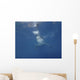 Great White Shark Guadalupe Wall Decal