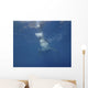 Great White Shark Guadalupe Wall Decal