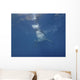 Great White Shark Guadalupe Wall Decal