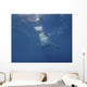 Great White Shark Guadalupe Wall Decal