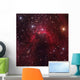 Cave Nebula Located Constellation Wall Decal