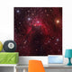 Cave Nebula Located Constellation Wall Decal