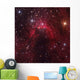 Cave Nebula Located Constellation Wall Decal