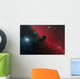 Horsehead Nebula Constellation Orion Wall Decal