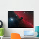 Horsehead Nebula Constellation Orion Wall Decal