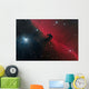 Horsehead Nebula Constellation Orion Wall Decal