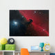 Horsehead Nebula Constellation Orion Wall Decal