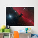Horsehead Nebula Constellation Orion Wall Decal