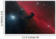Horsehead Nebula Constellation Orion Wall Decal