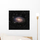 Messier 81 Spiral Galaxy Wall Decal