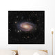 Messier 81 Spiral Galaxy Wall Decal