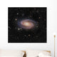 Messier 81 Spiral Galaxy Wall Decal