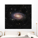 Messier 81 Spiral Galaxy Wall Decal