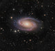 Messier 81 Spiral Galaxy Wall Decal