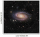 Messier 81 Spiral Galaxy Wall Decal